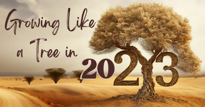 the 2023 tree