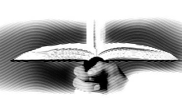 The Role of the Bible