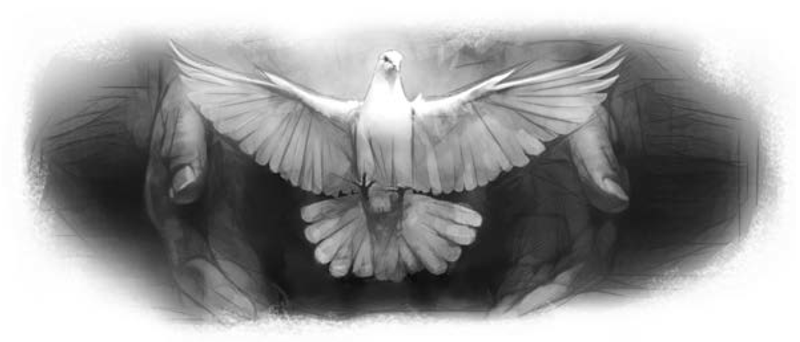 Spiritual Gifts